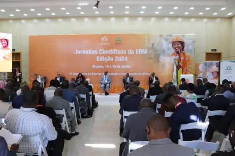 EMPRESAS DE ELECTRICIDADE DEVEM ESTAR NO CENTRO DAS ECONOMIAS AFRICANAS